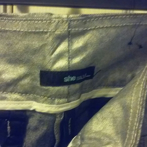 Silver Pants - Picture 2 of 5